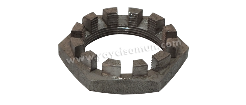 TAÇLI SOMUN