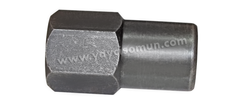 TAKVİYELİ SOMUN